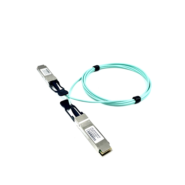 Wiring a 10 Mbps fiber optic router